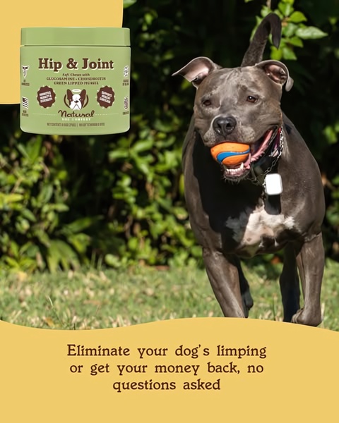 A direct-response social media ad for a dog supplement featuring a clear value proposition and a risk-reversal guarantee.